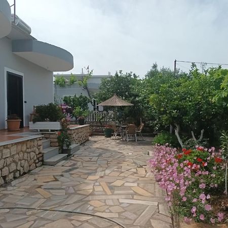 Vila Rexhaj คซามิล ภายนอก รูปภาพ